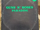 GUNS N’ ROSES “PARADISE LIVE”  LIVE 2LP VINYL RECORD SET