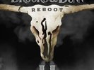 BROOKS & DUNN: REBOOT II - LP vinyl *BRAND NEW*