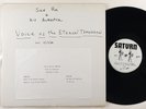 Sun Ra & His Arkestra 