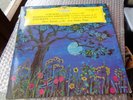 Schubert Arpeggione Schumann Pierre Fournier DGG 139 368 1Ed. Tulip Germany NM