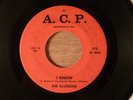 The Illusions I Know/Take My Heart RARE  FL Garage, Psych 1966 A.C.P.