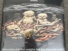 SEALED LIMP BIZKIT CHOCOLATE STARFISH AND THE HOT DOG LP SET RED CLEAR SPLIT