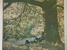 Yoko One - Plastic Ono Band 1970 Vinyl LP Apple Records SW 3373