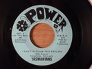 Tasmanians I Can't Explain This Feeling/If I Don't RARE  FL Garage 1967 Power
