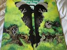 Dr. Strangely Strange, Heavy Petting vinyl LP, Vertigo 1970
