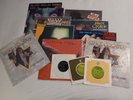 Lot: Alice Cooper, 9 LPs, 3 singles, and a rare original promo puzzle.