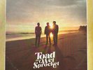 TOAD THE WET SPROCKET - All You Want (Bonus Edition) VINYL LP 2023 Exc Cond  JF1