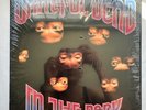 GRATEFUL DEAD IN THE DARK LP 1987 ORIGINAL PRESS GREAT CONDITION  VG++VG+ A