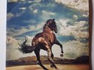 Bruce Springsteen Western Stars Limited Edition Double Blue Vinyl LP
