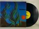 RONTHEO - Breitkopf Song LP 1976