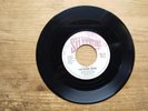 The Stone Roses Waterfall / One Love VG 1992 7