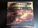 RED HOUSE PAINTERS Rollercoaster 2xLP 2015 4AD Reissue Vinyl