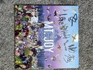 Mt. Joy - Rearrange Us Autographed Vinyl LP