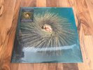 PETER GABRIEL OVO 2 LPS LIMITED BLUE / ORANGE VINYL RSD 2025 (seam split Sleeve)