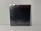 Middle Class - Scavenged Luxury 1980 Torture Garden vinyl record punk rock