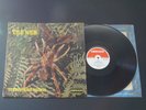 THE WEB Theraphosa Blondi 1W/1W 1st Stereo PRESS 1969 Deram Superb NM-/M- AUDIO