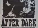 D.A.D DISNEYLAND AFTER DARK concert poster 24