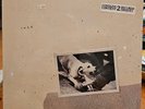 Fleetwood Mac Tusk Vinyl 1979 NEW SEALED 2HS-3350 Canada Pressing - See Pics