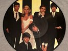 BLONDIE Parallel Lines Picture Disc LP 1978 Chrysalis NM   2 Images,No Scratches