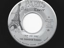 GARAGE ROCKERS -45 - CANADIAN ROGUES- RUN AND HIDE -HEAR -1967 FL. PARIS TOWER