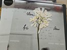 RARE Signed Daughter - Stereo Mind Game Eco Coloured Vinyl with art print Sealed