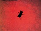 FACTORY SEALED: OTIS SPANN - Biggest Thing Since Colossus, Vinyl LP