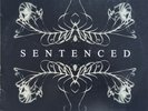 LP  - (Vinyl) 12