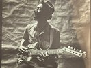 Hound Dog Taylor and The Houserockers Vinyl Record LP