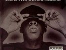 Black Album by Jay-Z (Record, 2003)