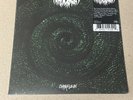 Chameleon by Trauma Ray (Record, 2024)