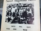 SWEET MAGNOLIA BAND LP Private Release 1973 Lardbucket Label - Arkansas Psych