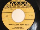 Doo Wop 45 EBBTIDES What Is Your Name Dear TEEN HEAR f
