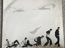 Robin Thicke The Evolution Of Robin Thicke - VG+ 2 x Vinyl LP - 2006 B0006146-01