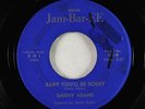 Garage 45 - Danny Adams - Baby You'll Be Sorry - Jam-Bar-EE - obscure