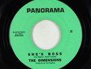 Garage 45 - Dimensions - She's Boss - Panorama VG++