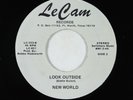 Psych Funk 45 - New World - Look Outside - Le Cam - VG+ obscure