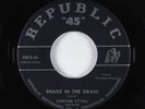 R&B 45 - Christine Kittrell - Snake In The Grass - Republic