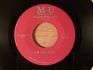 The Shy Guys Goodbye To You/Black Lightening Light CRAZY RARE  FL Garage Psych