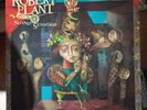 Robert Plant And The Strange Sensation – Mighty Rearranger. Trades