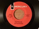 The Painted Ship Frustration/I Told Those Little White Lies RARE  Garage, Psych