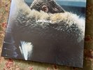 Beyonce LEMONADE 2017 YELLOW Vinyl 2LP