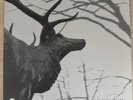 AGALLOCH - The Mantle - Clear 2 x VINYL LP 2011 Grau Exc Cond  JF1