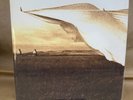 Neil Young – Prairie Wind 2xLP Vinyl 2005 Reprise Records NM/VG++ Folk Rock Clas