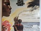 Miles Davis - Bitches Brew Double 180g Vinyl NM+ (in open shrink but not played)