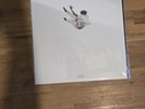 Daniel Caesar Pilgrims Paradise Secondtrack Exclusive Vinyl LE 1500 New Ship Now