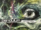 Pendulum - Hold Your Colour (3 x LP) (EX-/VG-)