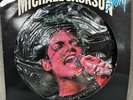 Michael Jackson – The Michael Jackson Story - Picture Disc - Rare 12