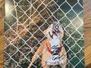 Knocked Loose - Pop Culture - 12