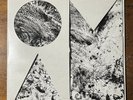 Of Monsters And Men ‎Beneath The Skin Clear Vinyl LP 2015 1st Press Indie Folk