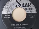 Mamie Bradley I FEEL LIKE A MILLION (RHYTHM & BLUES 45) #702 PLAYS VG+ TO VG++